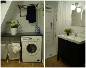 a bathroom with a washing machine and a sink at Forsthaus Gut Traunfried in Ramsau
