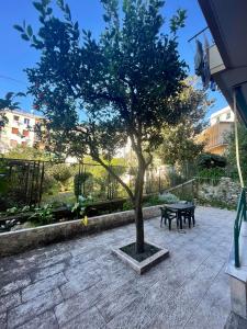 Vonkajšia záhrada v ubytovaní Casa di Aldo: una casa nel centro di Nervi.