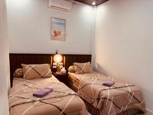 two beds in a small room with purple pillows at Alya Homestay Meulaboh in Meulaboh