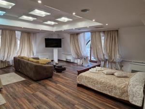 TV a/nebo společenská místnost v ubytování Danube Hotel & Spa