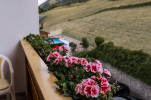 Zahrada ubytování Hotel Garni Alpes