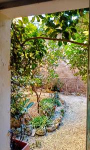 Κήπος έξω από το La casa del Pittore
