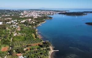 Príroda v okolí vily