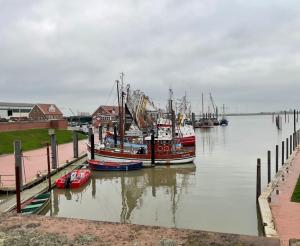 a group of boats are docked in a harbor at Ferienwohnung Fernkieker 45256 in Ditzum