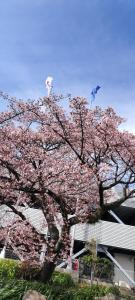 Foto sihtkohas Atami asuva majutusasutuse ゴンドラヴィラ イン熱海HakoneAtamiYugawara galeriist