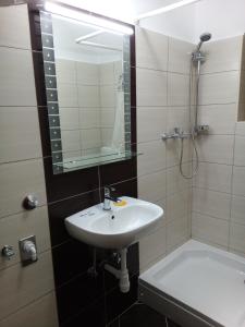 een badkamer met een wastafel, een douche en een spiegel bij Apartment Ivan in Cres