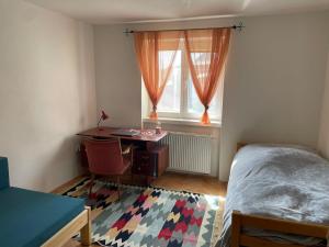 a bedroom with a desk and a bed and a window at Belvedere Kremnica in Kremnica +24 photos