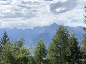 Paesaggio naturale nelle vicinanze dello chalet