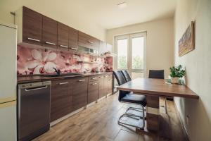 Kuchyňa alebo kuchynka v ubytovaní Skodova 4 Apartments