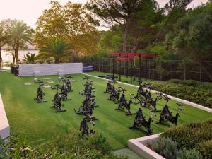 a group of people doing exercises in a park at Meliá Cala Galdana in Cala Galdana