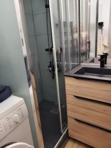a bathroom with a shower with a sink and a toilet at Appartement avec loggia vue mer port Maria in Quiberon +16 photos