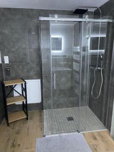 a shower with a glass door in a bathroom at Ferienwohnung zur alten Tischlerei in Schlöben