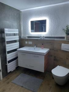 a bathroom with a sink and a toilet and a mirror at Ferienwohnung zur alten Tischlerei in Schlöben