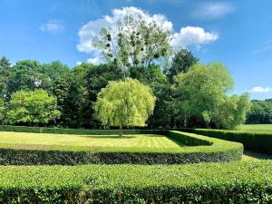 a garden with a tree in the middle of a lawn at Kasa Des Bois in Saint-Arnoult-des-Bois