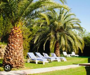 Κήπος έξω από το Mas D'en Portes