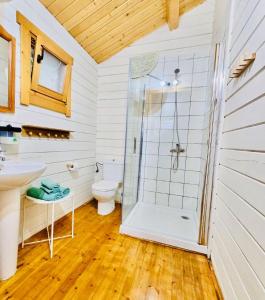 a bathroom with a shower and a toilet at Complejo Rural Huerta Grande in Algeciras