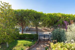 Zahrada ubytování Vecchia San Giovanni - YourPlace Abruzzo