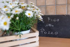 Φωτογραφία από το άλμπουμ του Il fico nel Pozzo - YourPlace Abruzzo σε Fossacesia