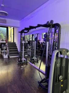 Γυμναστήριο ή/και όργανα γυμναστικής στο Domi Apartments Wellness Pompei