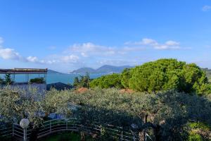 a view of a hill with trees and the ocean at Tellaro appartamento Azzurro in Tellaro