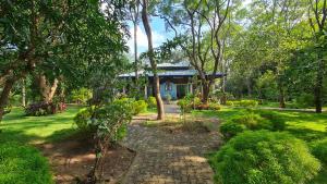 a garden with a pathway leading to a blue house at Rimaka Village - Tourist Board Approved Hotel in Habarana