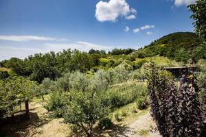 Fotografie z fotogalerie ubytování Casa Damiano v destinaci Chianni