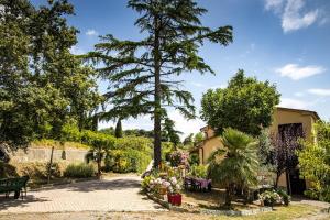 Fotografie z fotogalerie ubytování Casa Damiano v destinaci Chianni