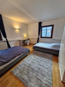a bedroom with two beds and a rug at Stadtvilla Zimmervermietung in Heidenheim