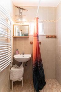 Bilik mandi di Apartment in Balatonmariafürdo 19268