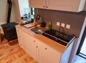 Køkken eller tekøkken på Holiday Home Saniv