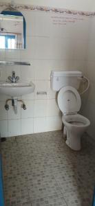 a bathroom with a toilet and a sink at Hotel Blue lake in Pokhara