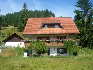 a house with a balcony with flowers on it at Waldhuesli Feldberg Gartengeschoss in Feldberg