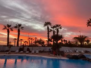 サンミゲル・デ・アボナにある2-Bed Apt Sleeps 4 Steps out on to the Poolのヤシの木と夕日を背景に見えるプール