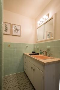 a bathroom with a sink and a mirror at Pet-Friendly Retreat~$375 Free Activities Daily in Hendersonville +26 photos