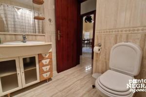 a bathroom with a toilet and a sink and a mirror at Casa Martins by PontaNegraAzores in Biscoitos +28 photos