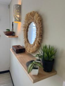 a mirror on a shelf with a potted plant at Appartement Lili in Grand-Baie