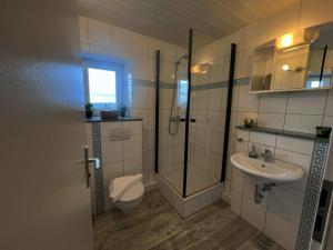 a bathroom with a toilet and a shower and a sink at Möblierte Wohnung für 7 Personen - KMK Monteure in Berg