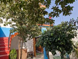dos árboles frente a un edificio en Om Stay Home, en Faizābād