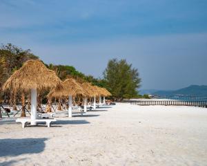 a row of straw umbrellas and chairs on a beach at Mad Monkey Koh Sdach in Kaoh Sdach
