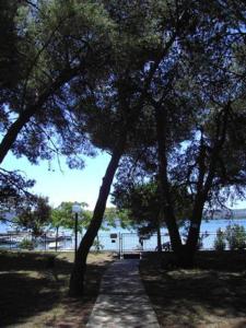 Imagen de la galería de Apartmani Park, en Sveti Filip i Jakov