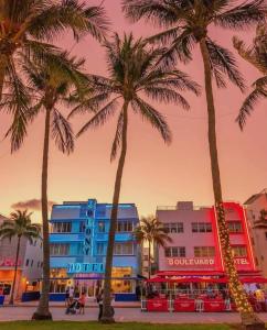a group of palm trees in front of a building at Sky-high1 BR Downtown Miami's heart - Pool & Gym in Miami