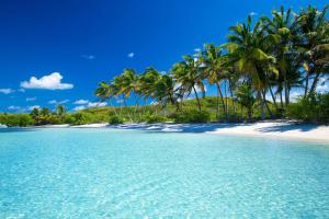 an island with palm trees on a beach at Villa Ti Gîte - Piscine privée in Le Marin