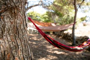 una hamaca colgando de un árbol en un parque en Il Borgo Del Principino en Favignana
