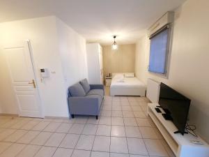 a living room with a couch and a tv at L'Apollinaire - 34m2 avec balcon et parking privé in Saint-Apollinaire