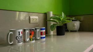 una fila de tazas de café sentadas en un mostrador en Green leaf house, en Fortuna