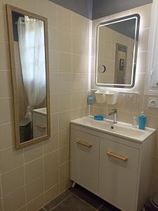 a bathroom with a sink and a mirror at Entre 2 Châteaux in Onzain +28 photos
