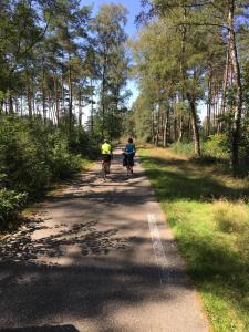 two people riding bikes down a road at Acacia 103 in Aan de Wolfsberg