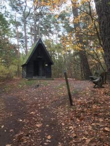 a small cabin in the middle of a forest at Acacia 103 in Aan de Wolfsberg