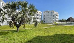 a palm tree in a field with a building at Modern Couzy Suites in Malindi