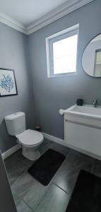 a bathroom with a toilet and a sink and a window at Hartklop Luxury Self Catering Guesthouse in Linkside